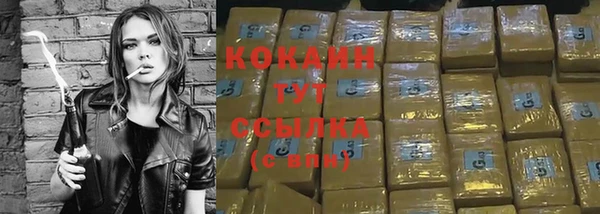 сатива Медвежьегорск