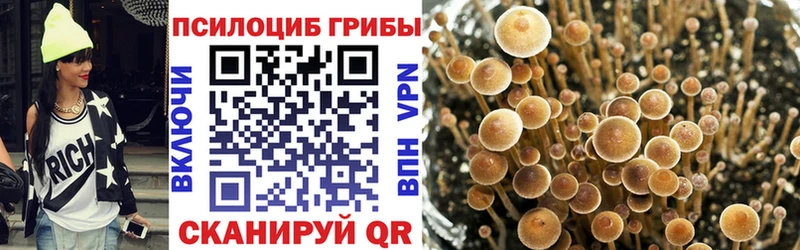 Псилоцибиновые грибы GOLDEN TEACHER  Сургут 