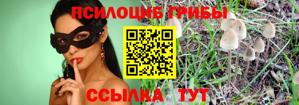 Псилоцибиновые грибы Psilocybe  Псилоцибиновые грибы прущие грибы  Вход с VPN  Сургут 