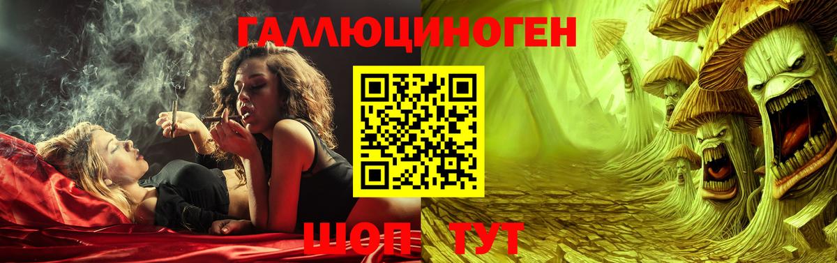 Псилоцибиновые грибы прущие грибы Сургут
