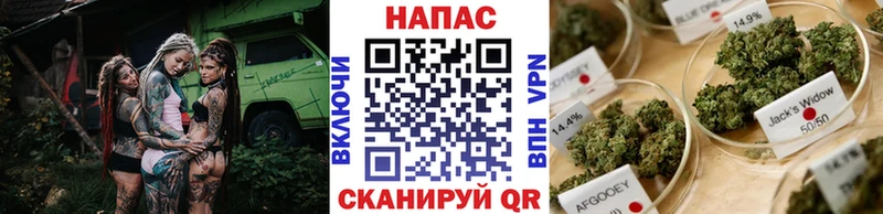 Бошки марихуана AK-47 Сургут