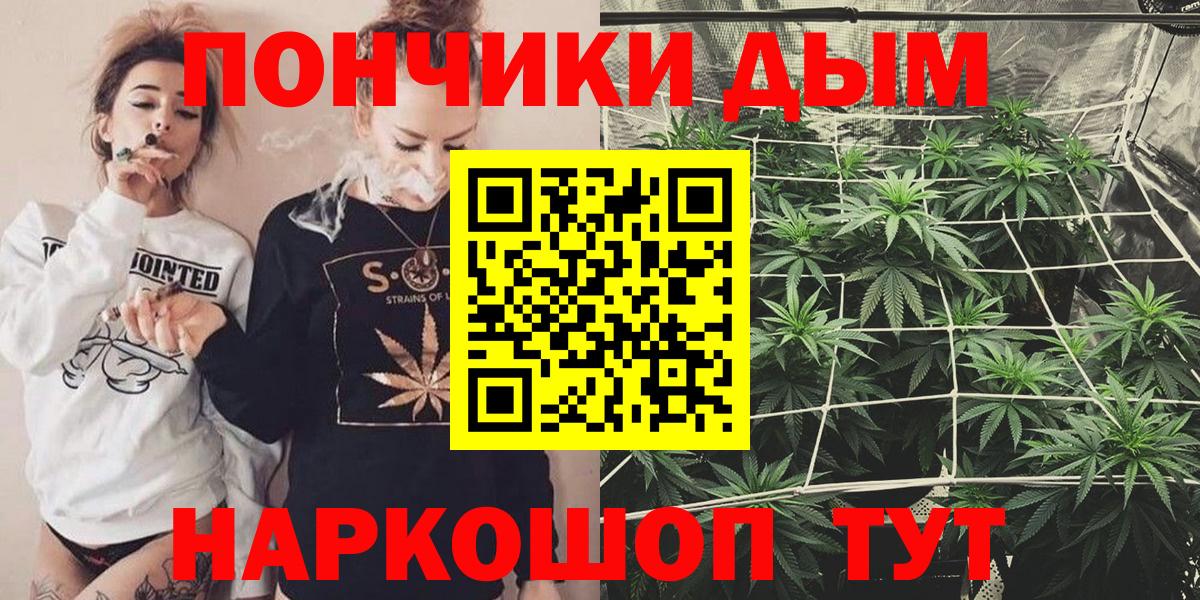 Бошки Шишки VHQ Сургут